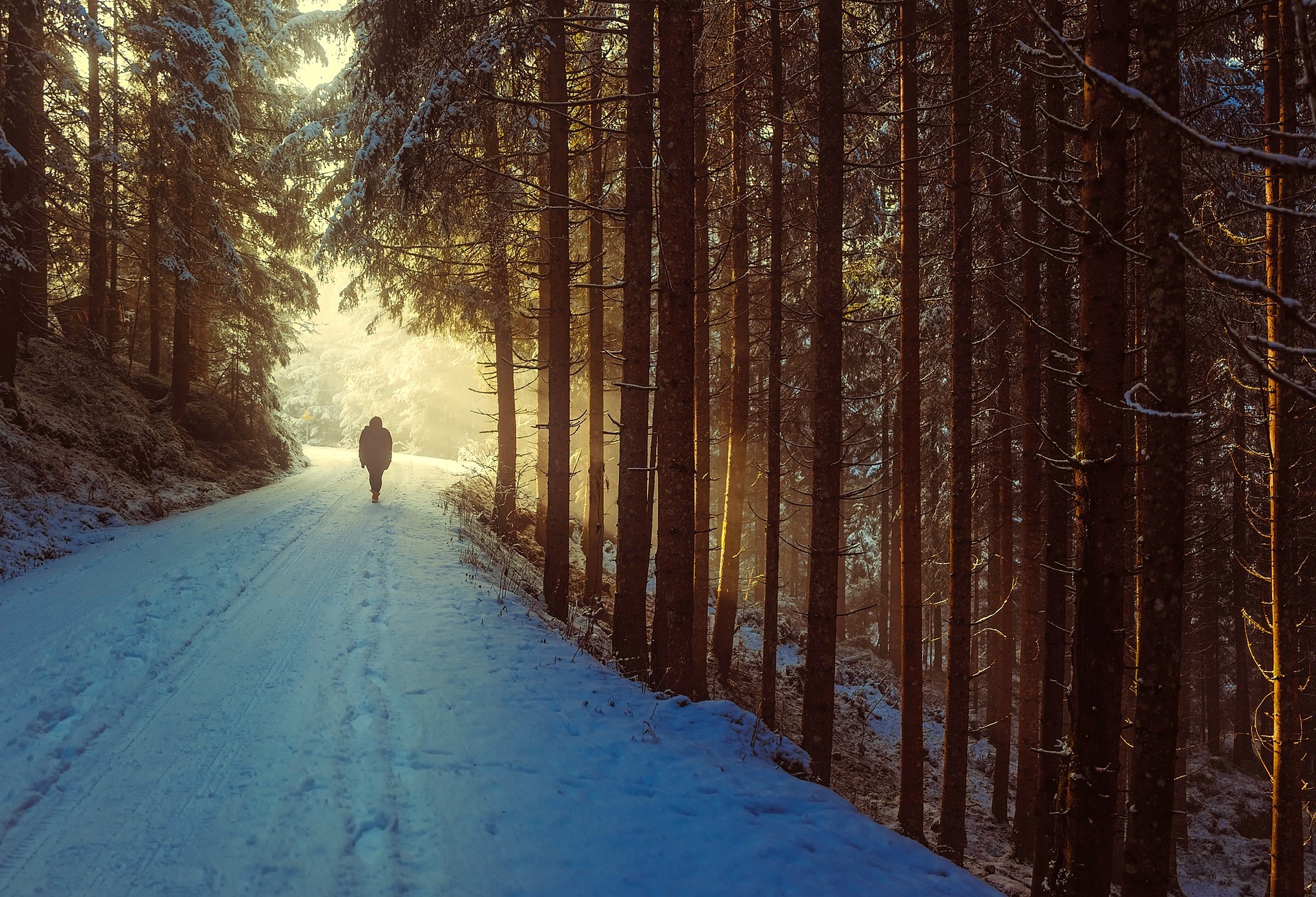 Winterwandeling