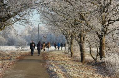 Wandeltocht